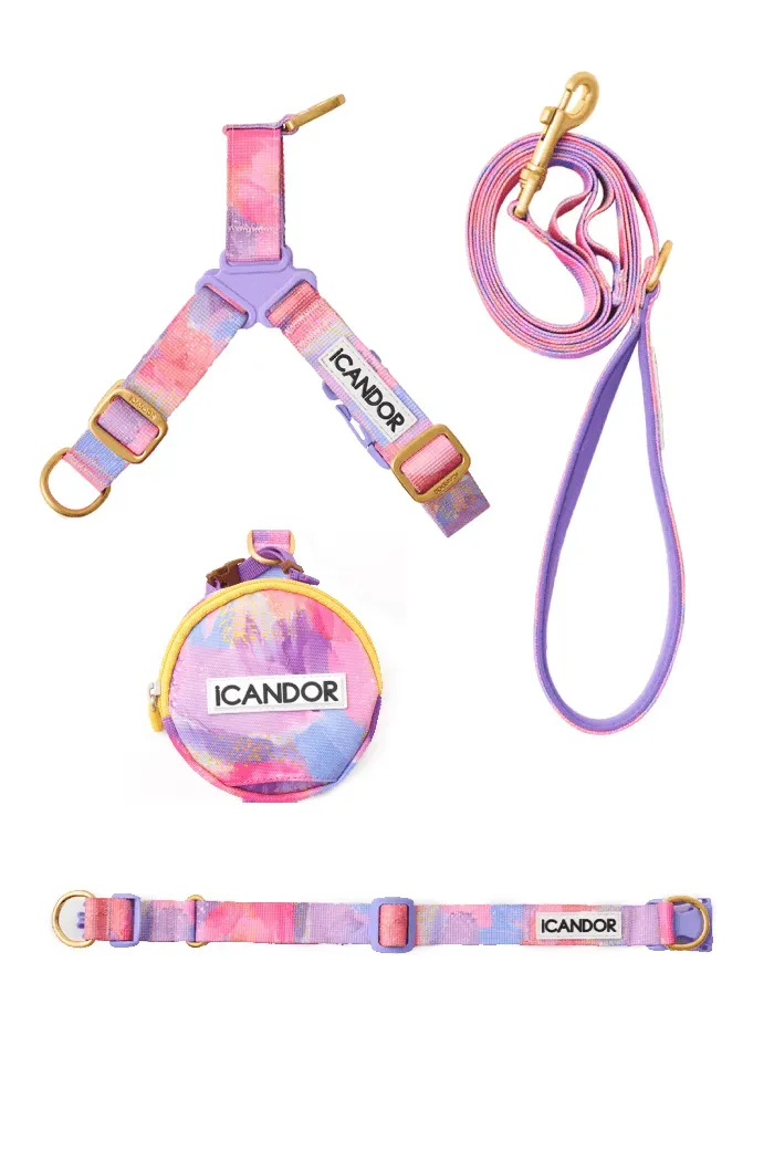 Gentle 2-Handle Dog Leash - Milky Way