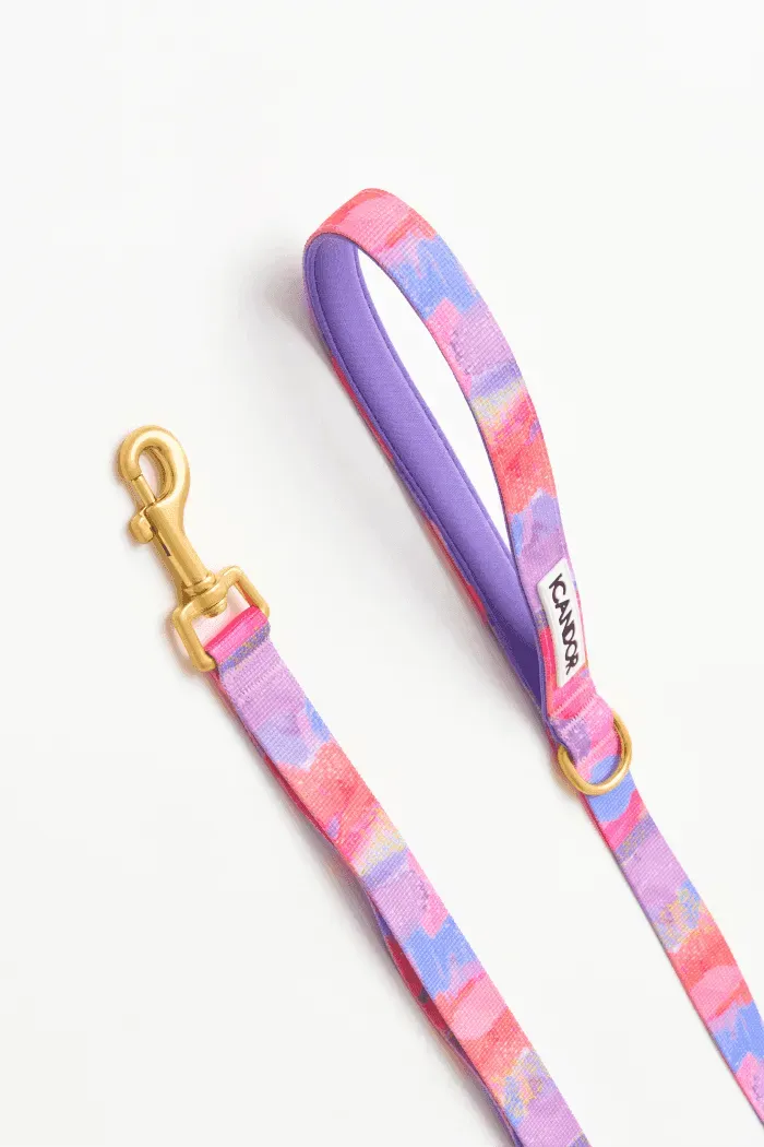 Gentle 2-Handle Dog Leash - Milky Way